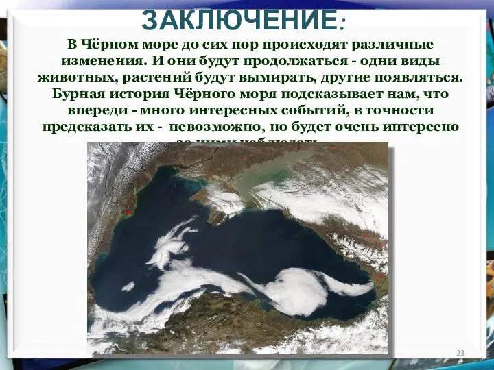 ЗАКЛЮЧЕНИЕ: В Чёрном море до сих пор происходят различные изменения. И