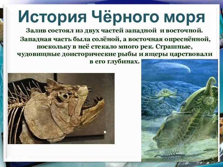 История Чёрного моря Залив состоял из двух частей западной и восточной.