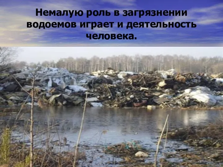 Немалую роль в загрязнении водоемов играет и деятельность человека.