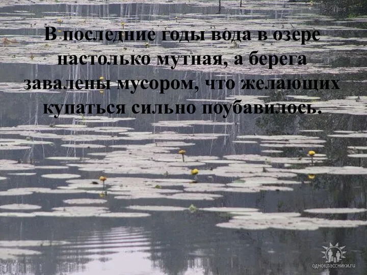 В последние годы вода в озере настолько мутная, а берега завалены