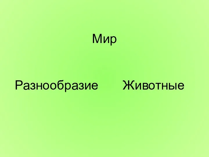 Мир Разнообразие Животные