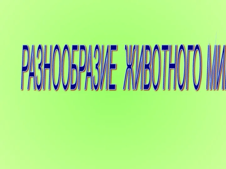 РАЗНООБРАЗИЕ ЖИВОТНОГО МИРА