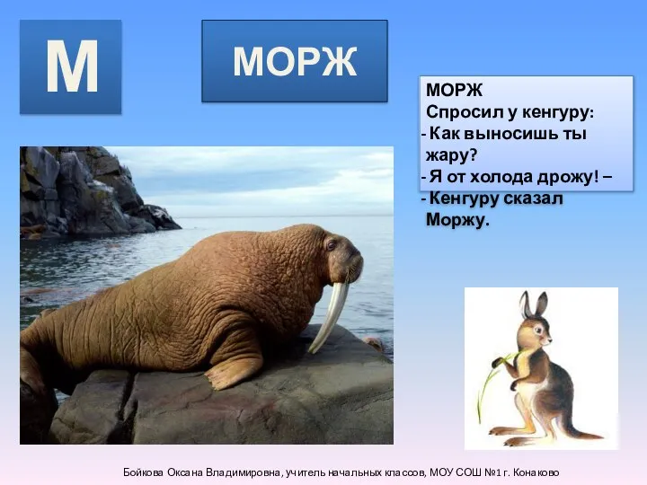 МОРЖ МОРЖ Спросил у кенгуру: Как выносишь ты жару? Я от