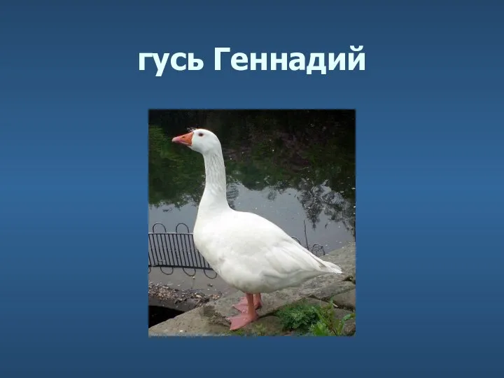 гусь Геннадий