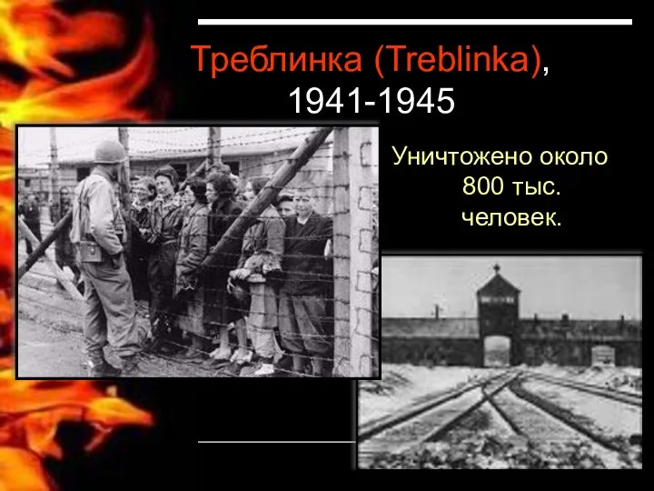 Треблинка (Treblinka), 1941-1945 Уничтожено около 800 тыс. человек.