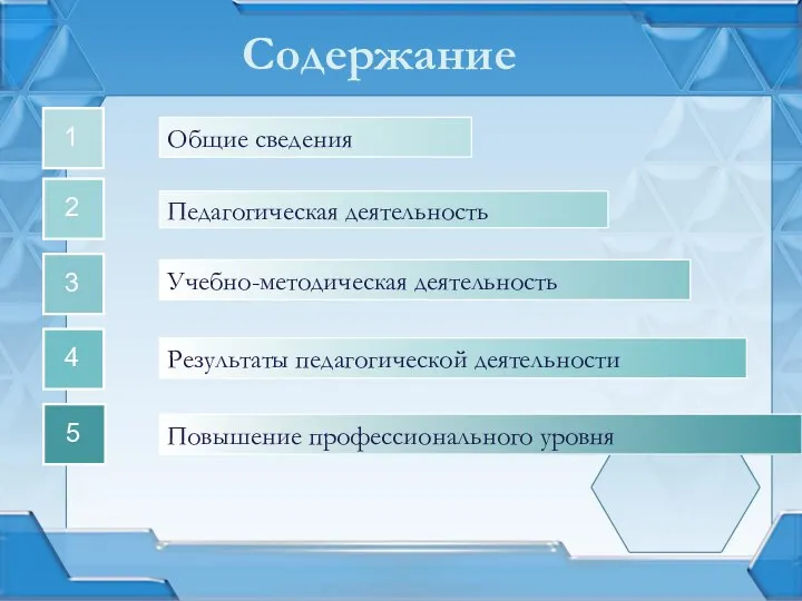 Общие сведения 1 Педагогическая деятельность Учебно-методическая деятельность 3 Результаты педагогической деятельности