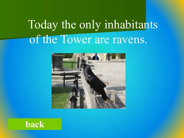 back Today the only inhabitants of the Tower are ravens.