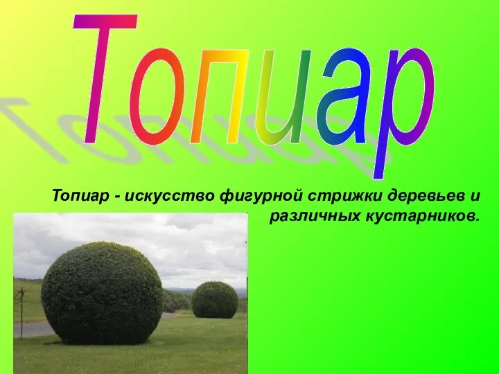 Топиар Топиар - искусство фигурной стрижки деревьев и различных кустарников.