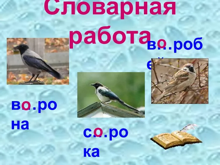 Словарная работа в…робей в…рона с…рока о о о