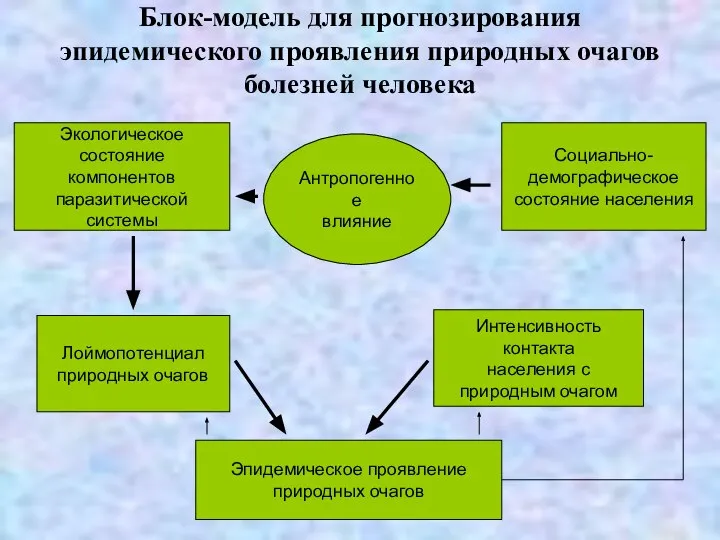 Блок-модель для прогнозирования эпидемического проявления природных очагов болезней человека Экологическое состояние