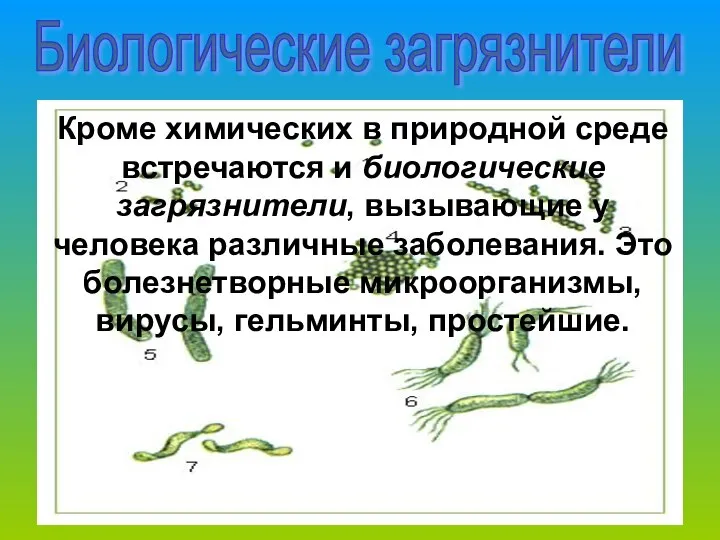 Кроме химических в природной среде встречаются и биологические загрязнители, вызывающие у