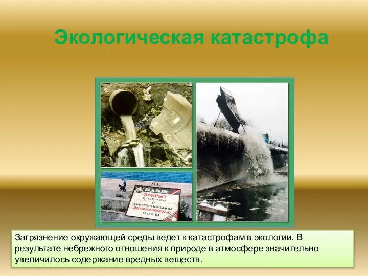 Загрязнение окружающей среды ведет к катастрофам в экологии. В результате небрежного