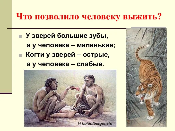 Что позволило человеку выжить? У зверей большие зубы, а у человека