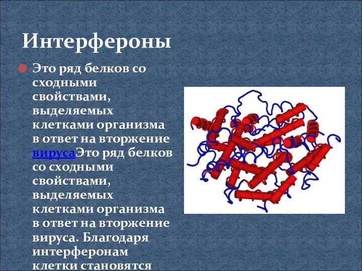 Интерфероны Это ряд белков со сходными свойствами, выделяемых клетками организма в