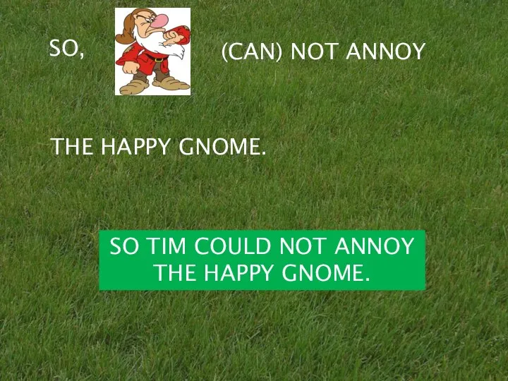 SO, (CAN) NOT ANNOY THE HAPPY GNOME. SO TIM COULD NOT ANNOY THE HAPPY GNOME.