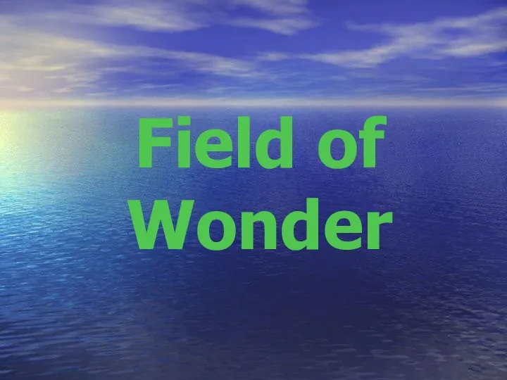 Field of Wonder