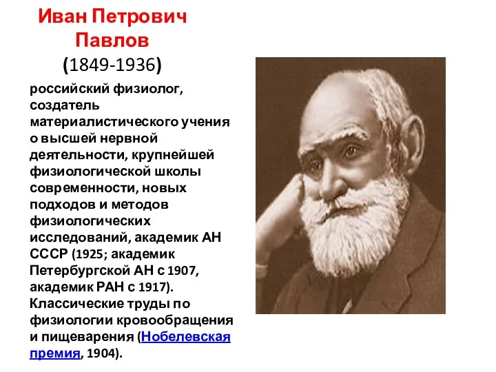 Иван Петрович Павлов (1849-1936) российский физиолог, создатель материалистического учения о высшей