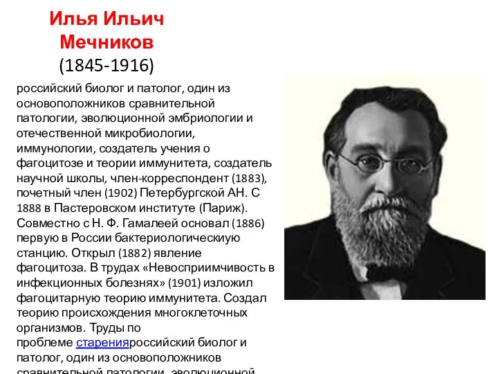 Илья Ильич Мечников (1845-1916) российский биолог и патолог, один из основоположников