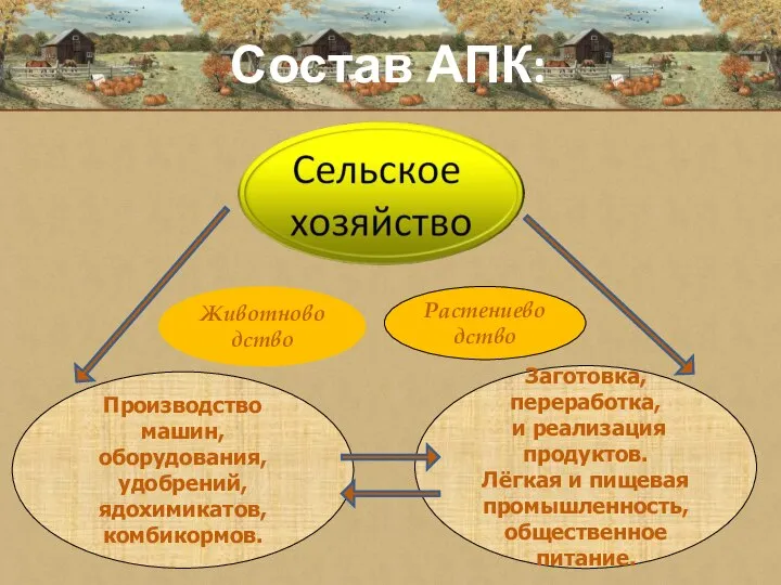 Состав АПК: Животноводство Растениеводство Производство машин, оборудования, удобрений, ядохимикатов, комбикормов. Заготовка,