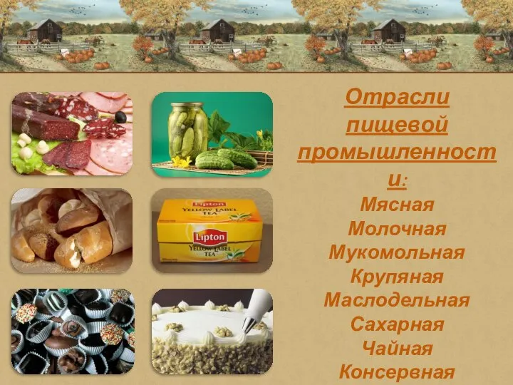 Отрасли пищевой промышленности: Мясная Молочная Мукомольная Крупяная Маслодельная Сахарная Чайная Консервная Рыбная Кондитерская