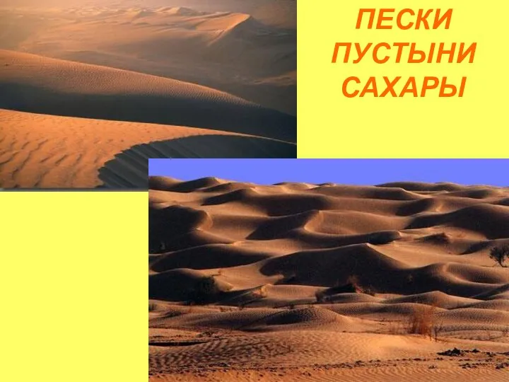 ПЕСКИ ПУСТЫНИ САХАРЫ