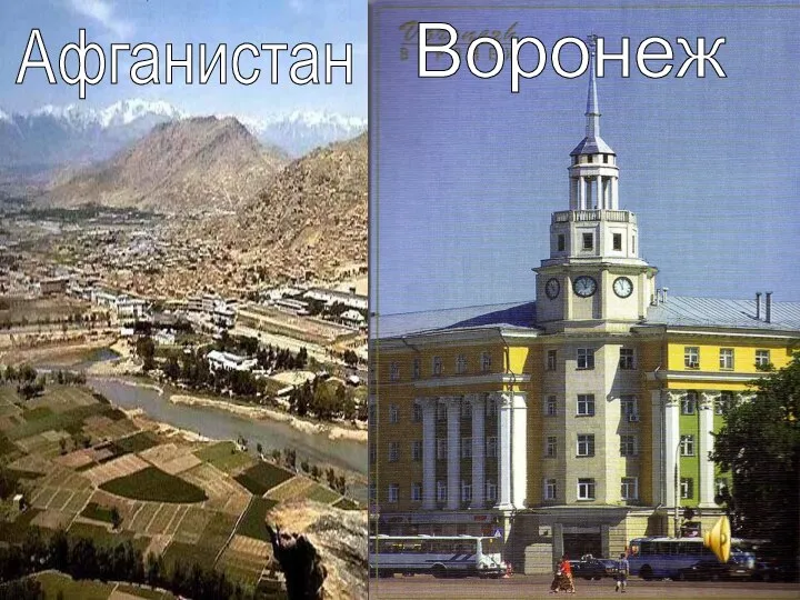 Афганистан Воронеж