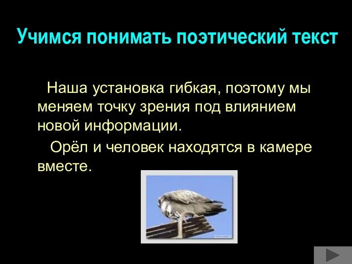 Учимся понимать поэтический текст Наша установка гибкая, поэтому мы меняем точку