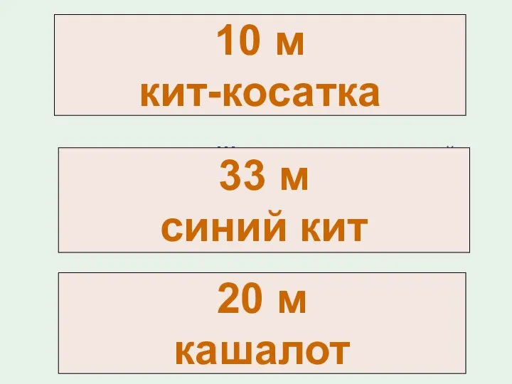 Длинное ухо, комочек пуха, прыгает ловко, любит морковку. Шелестя, шурша травой,