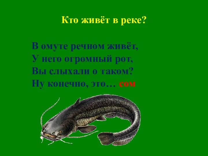 Кто живёт в реке? В омуте речном живёт, У него огромный