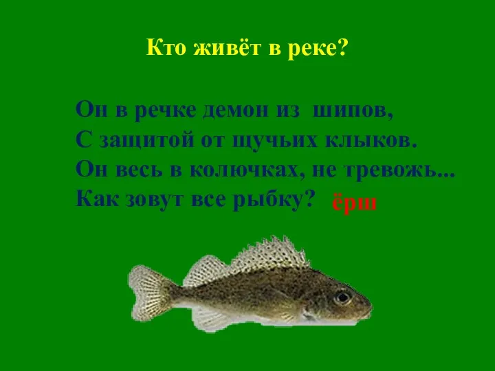 Кто живёт в реке? Он в речке демон из шипов, С