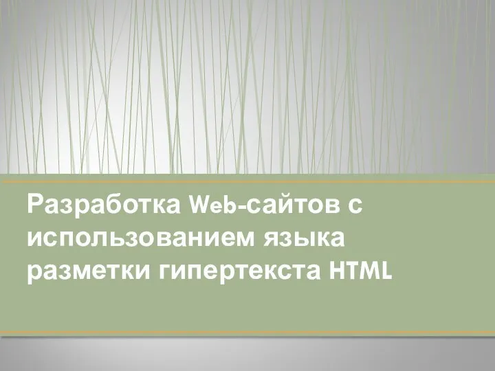 Разработка Web-сайтов с использованием языка разметки гипертекста HTML