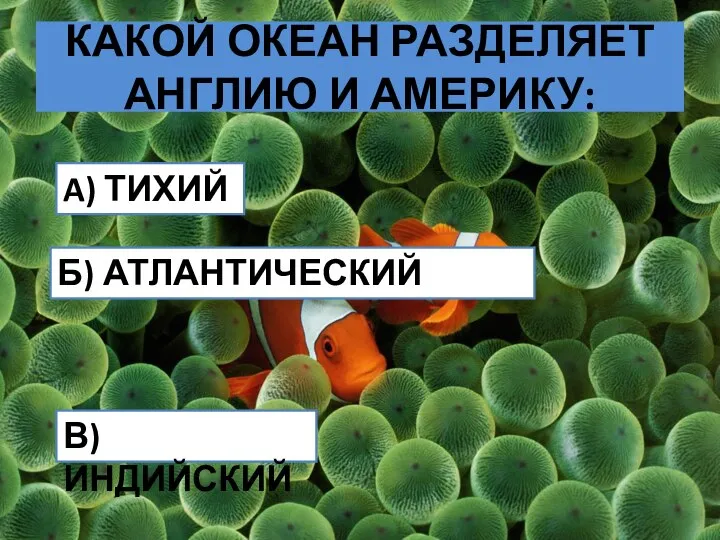 КАКОЙ ОКЕАН РАЗДЕЛЯЕТ АНГЛИЮ И АМЕРИКУ: A) ТИХИЙ Б) АТЛАНТИЧЕСКИЙ В) ИНДИЙСКИЙ