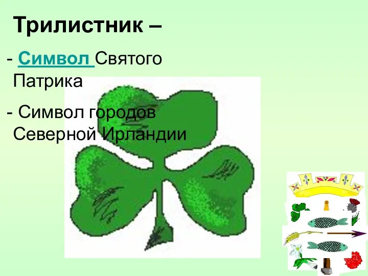 Трилистник – Символ Святого Патрика Символ городов Северной Ирландии