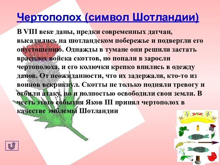 Чертополох (символ Шотландии) В VIII веке даны, предки современных датчан, высадились