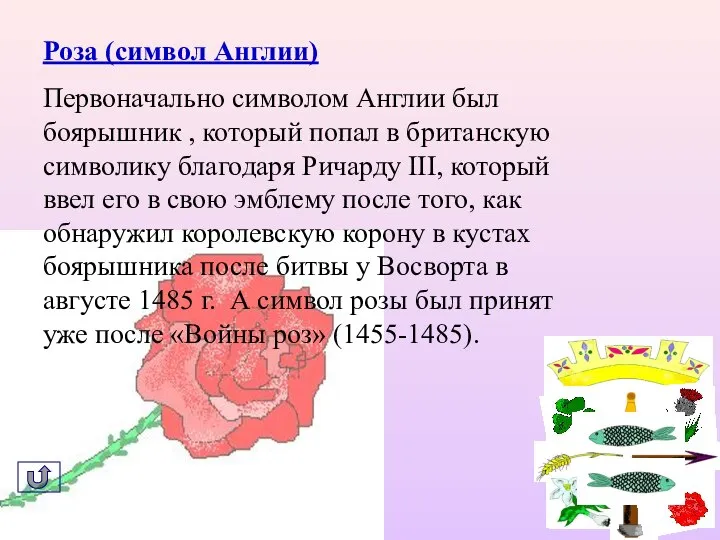 Роза (символ Англии) Первоначально символом Англии был боярышник , который попал