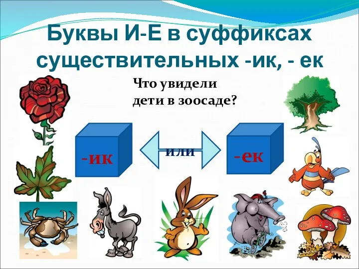 Буквы И-Е в суффиксах существительных -ик, - ек -ек -ик или Что увидели дети в зоосаде?