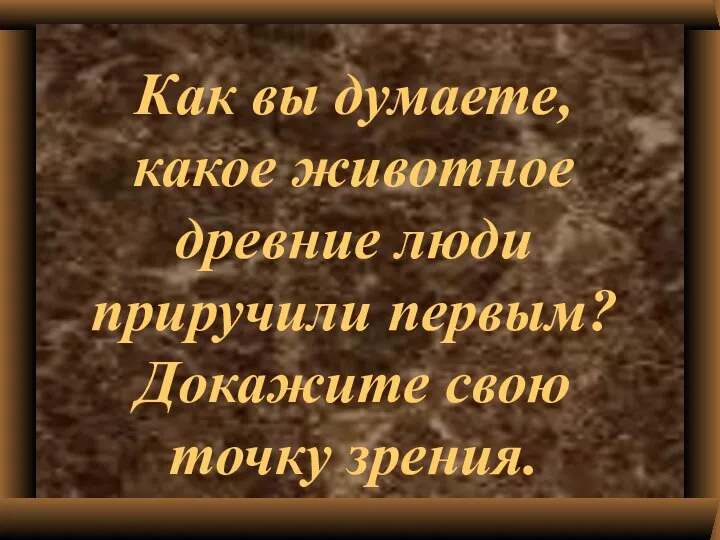 Как вы думаете, какое животное древние люди приручили первым? Докажите свою точку зрения.