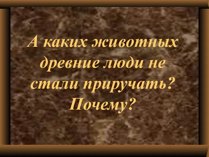 А каких животных древние люди не стали приручать? Почему?