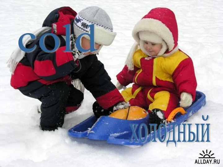 cold холодный