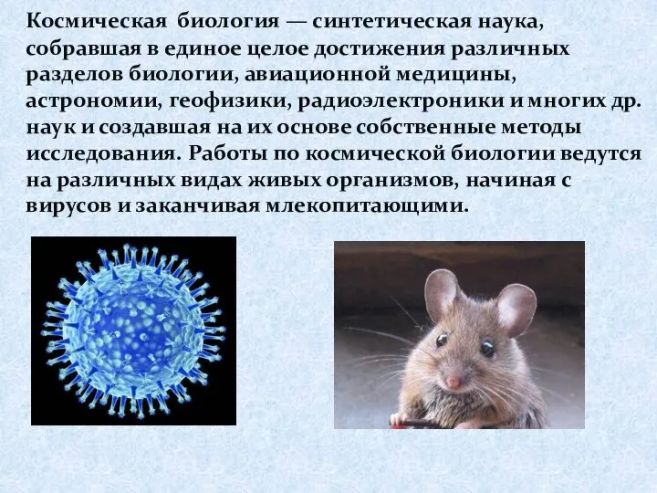 Космическая биология — синтетическая наука, собравшая в единое целое достижения различных