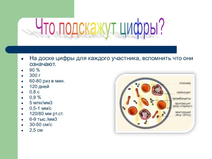 На доске цифры для каждого участника, вспомнить что они означают. 90