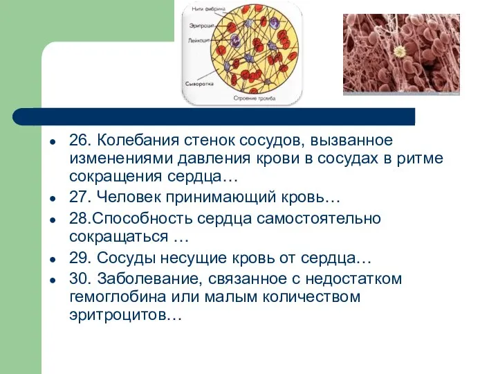 26. Колебания стенок сосудов, вызванное изменениями давления крови в сосудах в