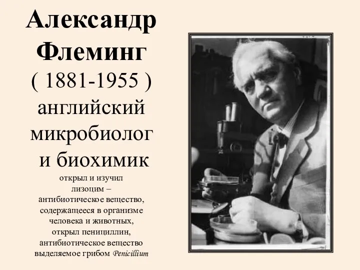 Александр Флеминг ( 1881-1955 ) английский микробиолог и биохимик открыл и