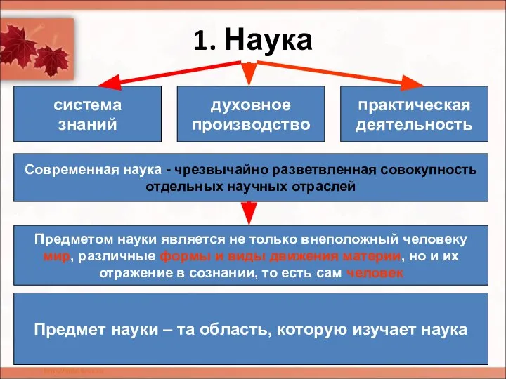 1. Наука система знаний практическая деятельность духовное производство Современная наука -