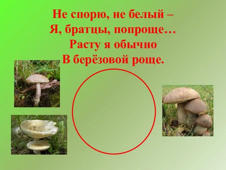 Не спорю, не белый – Я, братцы, попроще… Расту я обычно В берёзовой роще.