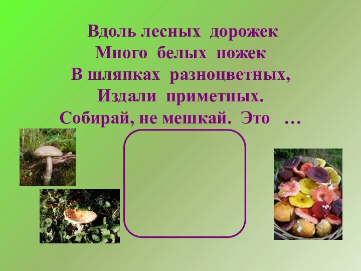 Вдоль лесных дорожек Много белых ножек В шляпках разноцветных, Издали приметных. Собирай, не мешкай. Это …