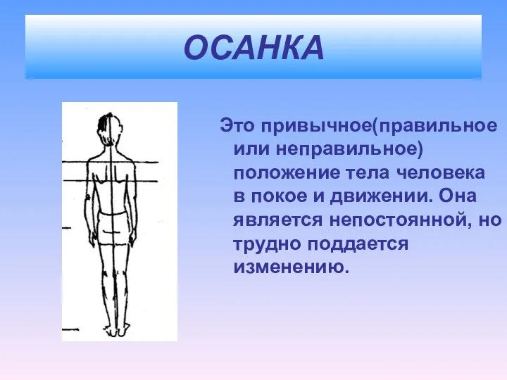 ОСАНКА Это привычное(правильное или неправильное) положение тела человека в покое и