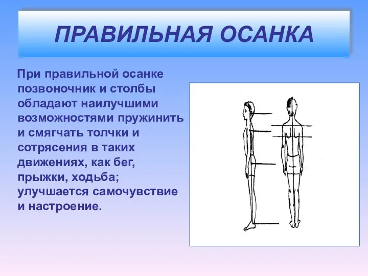 ПРАВИЛЬНАЯ ОСАНКА При правильной осанке позвоночник и столбы обладают наилучшими возможностями