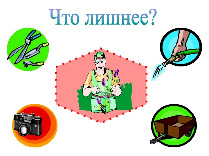 Что лишнее?