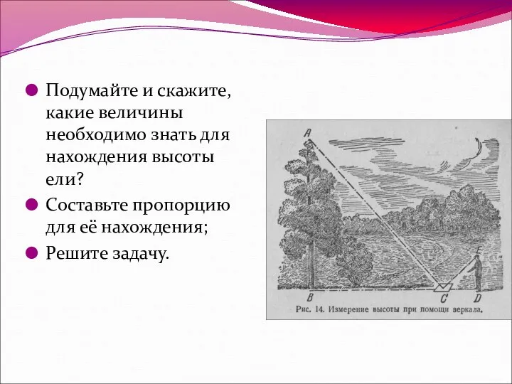 Подумайте и скажите, какие величины необходимо знать для нахождения высоты ели?